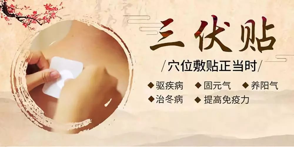 關于三伏貼，你了解多少呢？